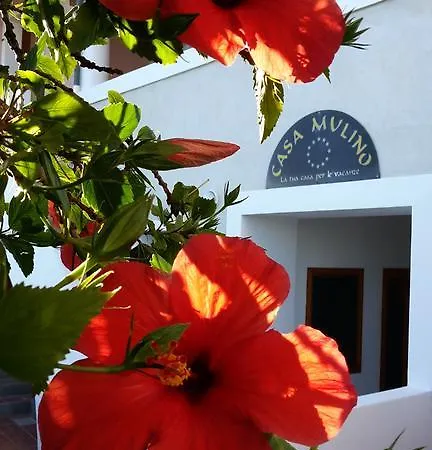Il Mulino Гостевой дом 4*