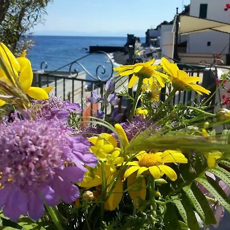 Il Mulino 4*