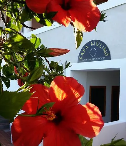 Il Mulino 招待所 4*